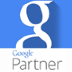 Google Partners