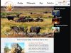 Programación y diseño web a medida para Stefano de Amicis Safaris