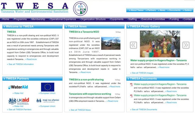 Diseño y programación web para página corporativa de Twesa