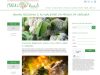 Diseño web de la plantilla de blog de wordpress
