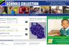 Diseño web y programación a medida del directorio de Tanzania School Collection