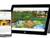 Diseño responsive para poder ver desde cualquier dispositivo móvil