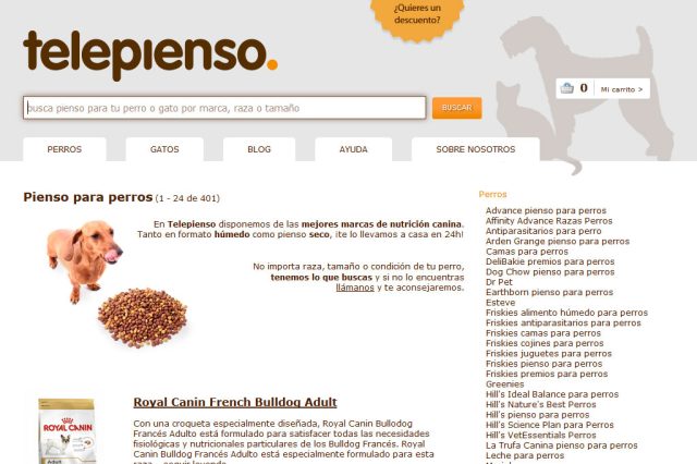 Campaña de publicidad SEM con Google Adwords para Telepienso